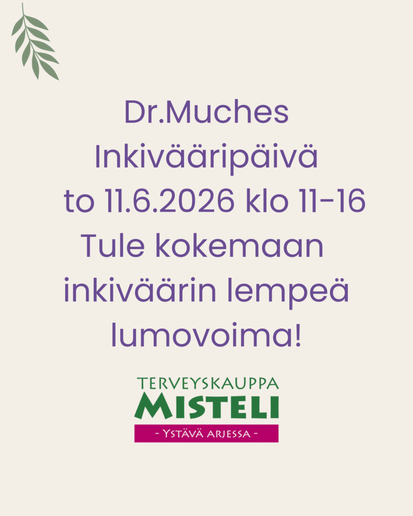 dr. muches inkivääri