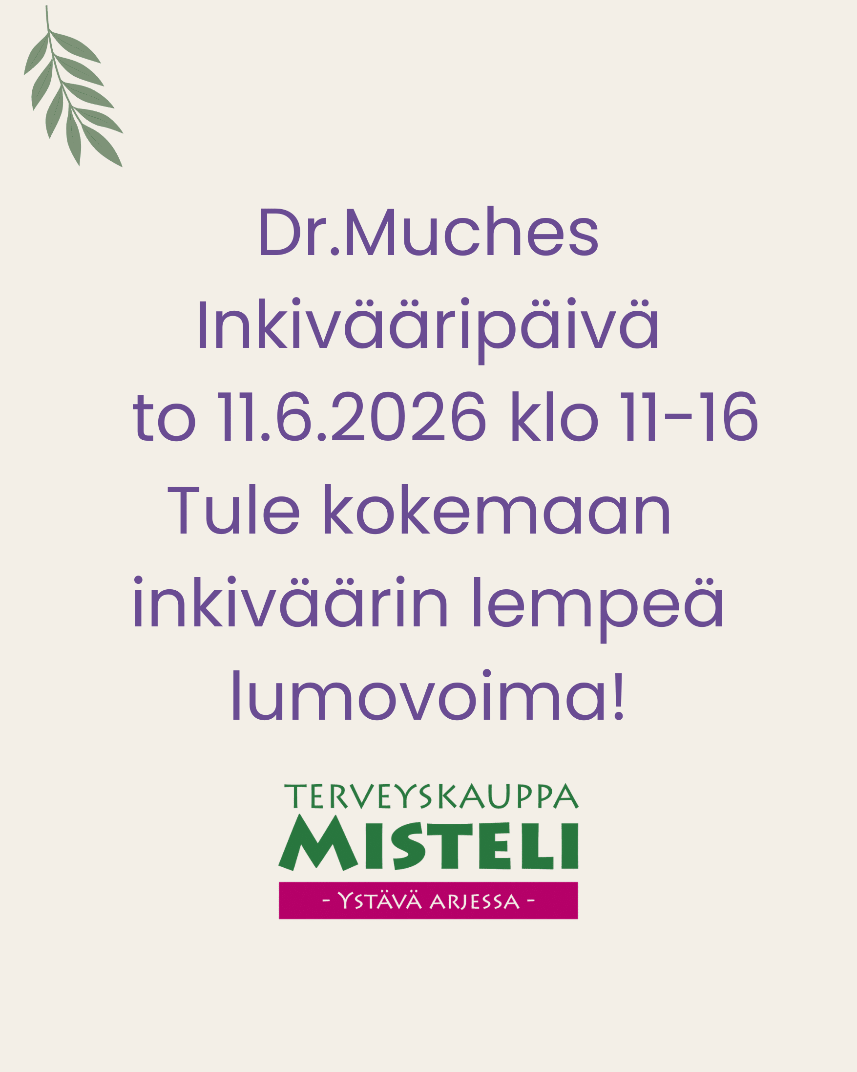 dr. muches inkivääri
